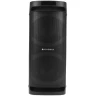 Портативная аудиосистема Soundmax SM-MS4206, черный
