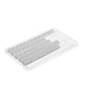 Клавиатура проводная Дарк Проджект KD87A+Numpad [DP-KD-87A-000102-GMS]