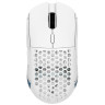 Мышь беспроводная/проводная ARDOR GAMING Phantom PRO Nordic [ARDW-PHN3395-BW] синий