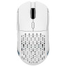 Мышь беспроводная/проводная ARDOR GAMING Phantom PRO Nordic [ARDW-PHN3395-BW] синий