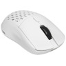Мышь беспроводная/проводная ARDOR GAMING Phantom PRO Nordic [ARDW-PHN3395-WT] белый