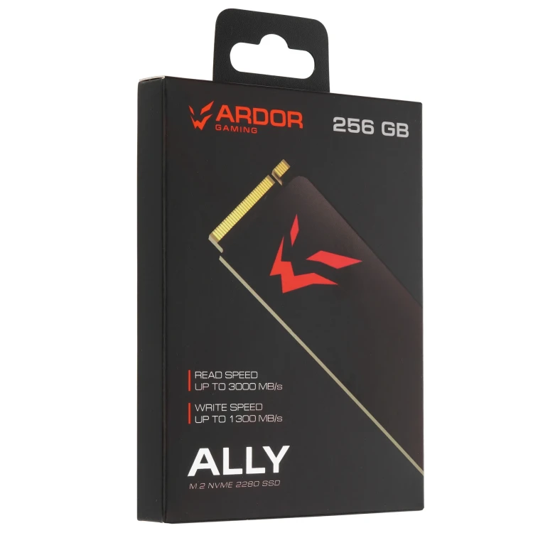 256 ГБ M.2 NVMe накопитель ARDOR GAMING Ally AL1282 [ALMAYM1024-AL1282]