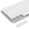 Клавиатура проводная ARDOR GAMING Blade 98, RGB, Kailh Red V2, белый, [AG-ODM-B98-Red-W]