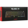 Клавиатура проводная ARDOR GAMING Blade 75, RGB, Kailh Red V2, черный, [AG-ODM-B75-Red-B]