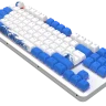 Клавиатура проводная Red Square Alumix TKL Aquarius v2, механическая, скелетон Клавиатура проводная Red Square Alumix TKL Aquarius v2, механическая, скелетон