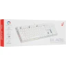 Клавиатура проводная ARDOR GAMING Blade, RGB, Kailh Red, белый, [AG-FL-B104Red-W]